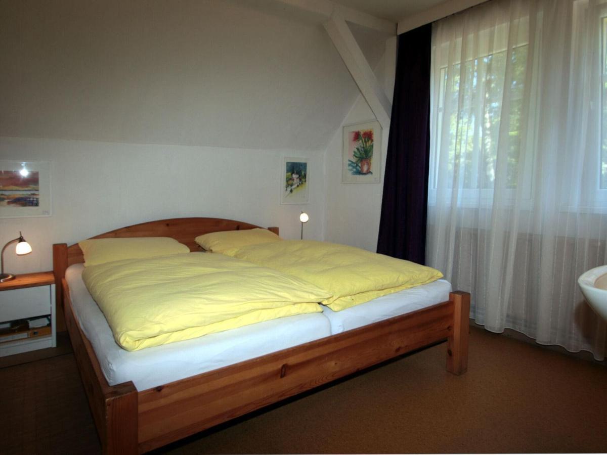 Cottage, شورفهايده المظهر الخارجي الصورة
